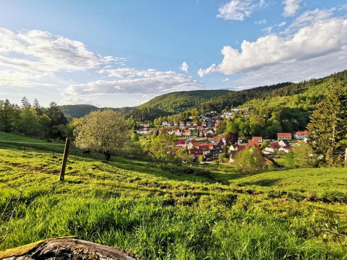 Hotel Pension Jaegerstieg Bad Grund Exteriér fotografie