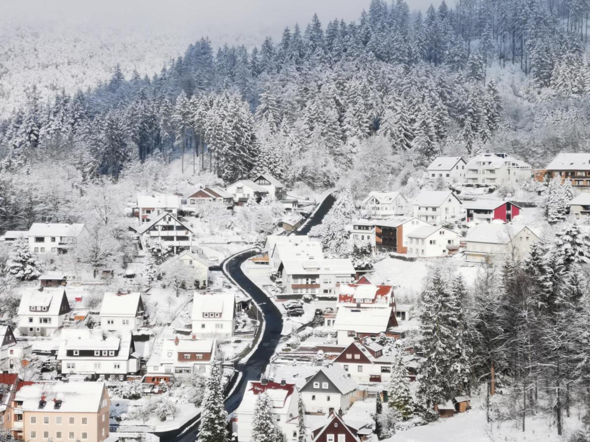 Hotel Pension Jaegerstieg Bad Grund Exteriér fotografie