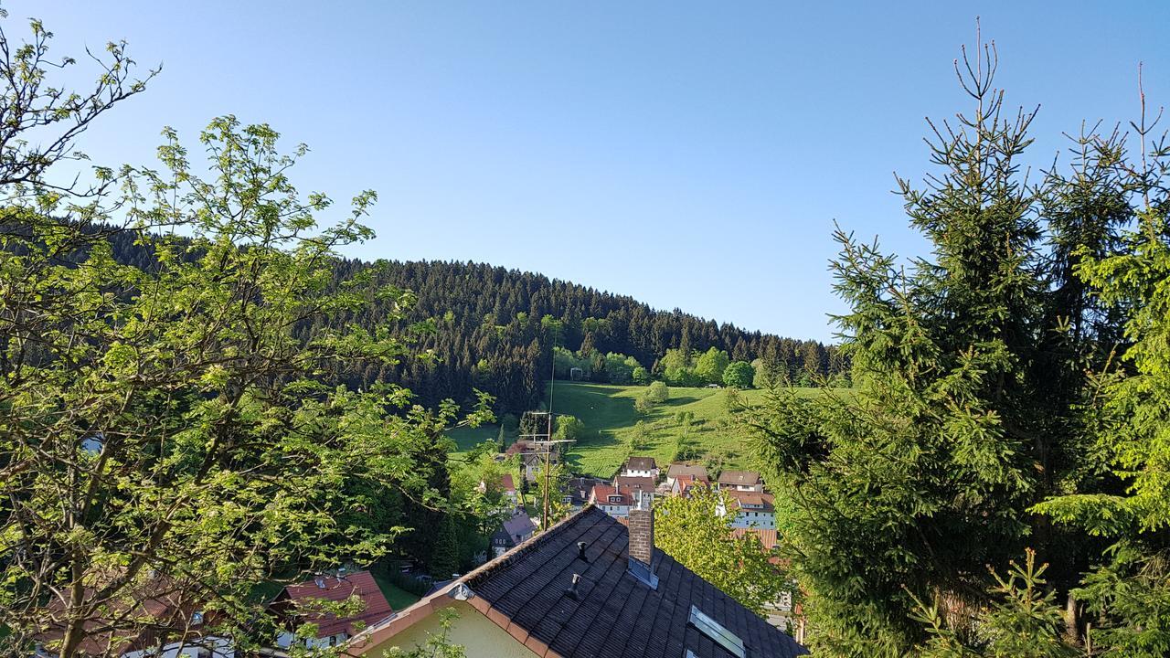 Hotel Pension Jaegerstieg Bad Grund Exteriér fotografie